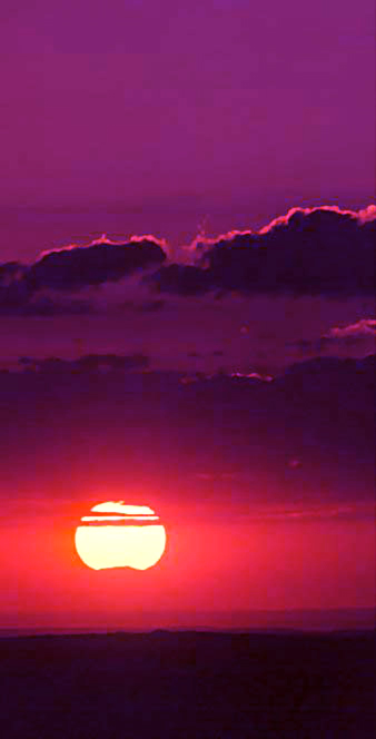 561.jpg